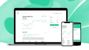 Image result for robinhood